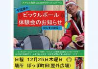 ピックルボール体験会【雨天のため中止】